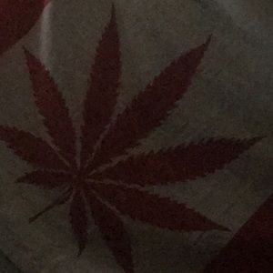 Meet your Posher, Dylan